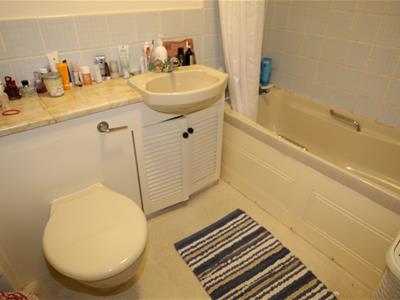 Picture 5